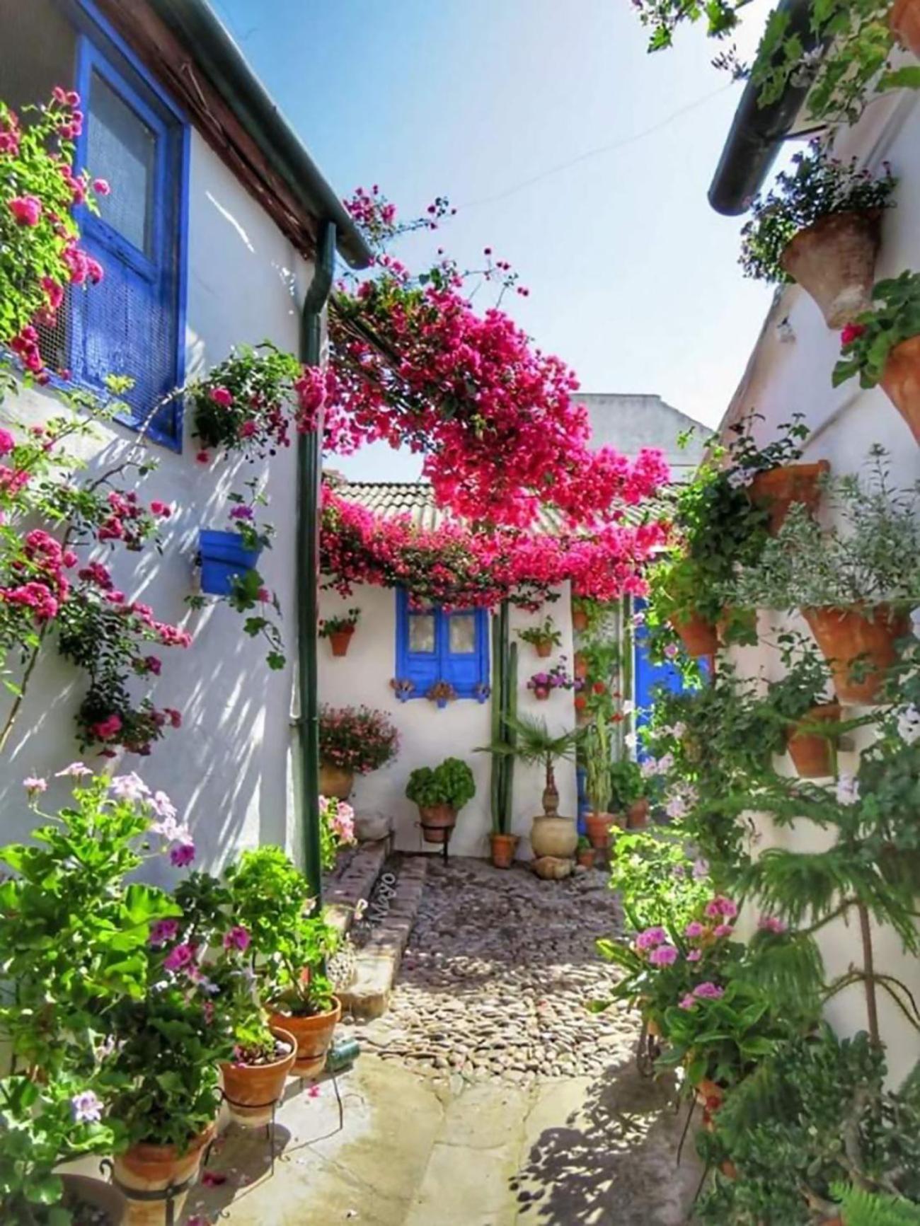 Nieves Viejas Los Patios コルドバ エクステリア 写真