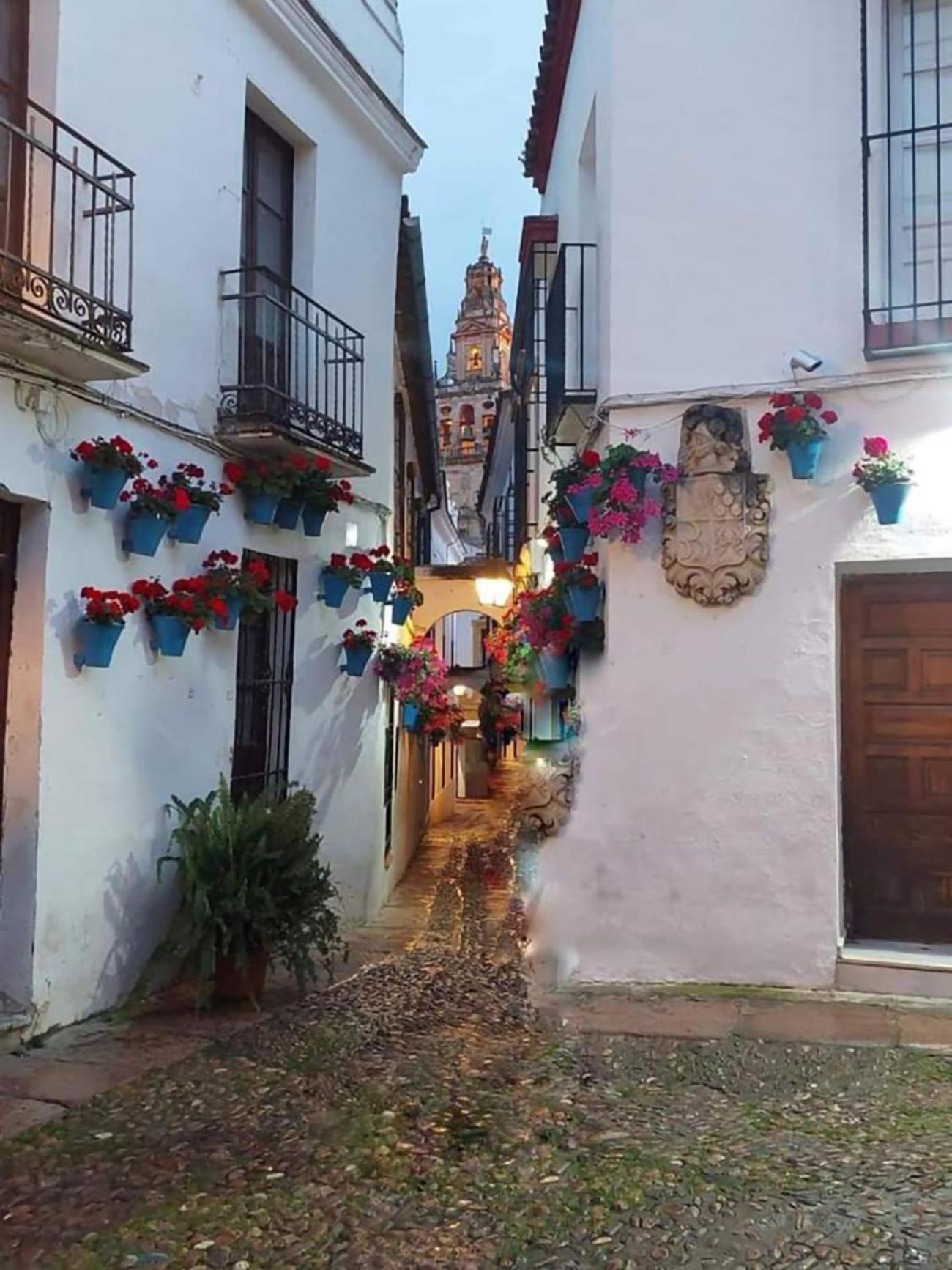 Nieves Viejas Los Patios コルドバ エクステリア 写真