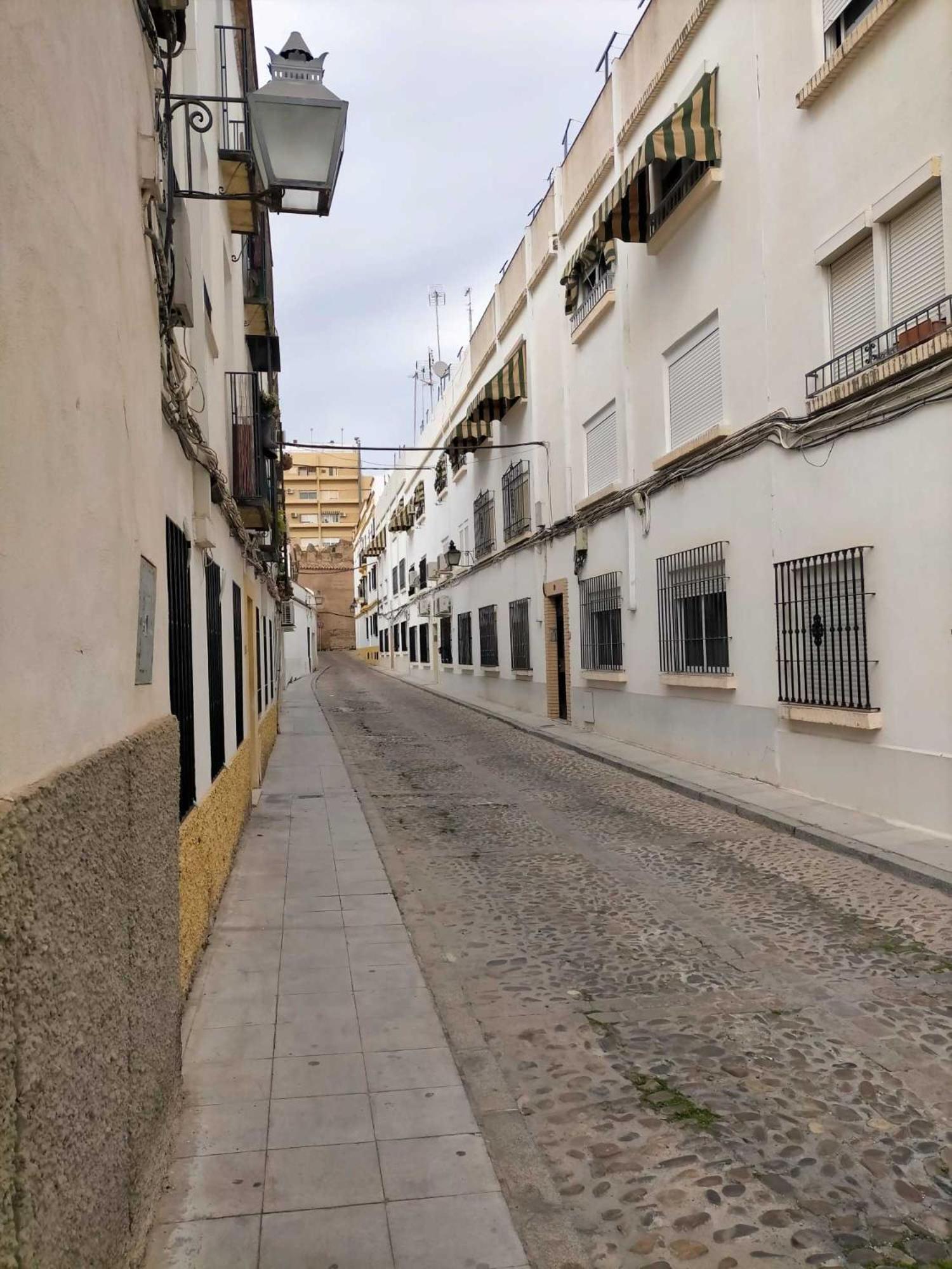 Nieves Viejas Los Patios コルドバ エクステリア 写真