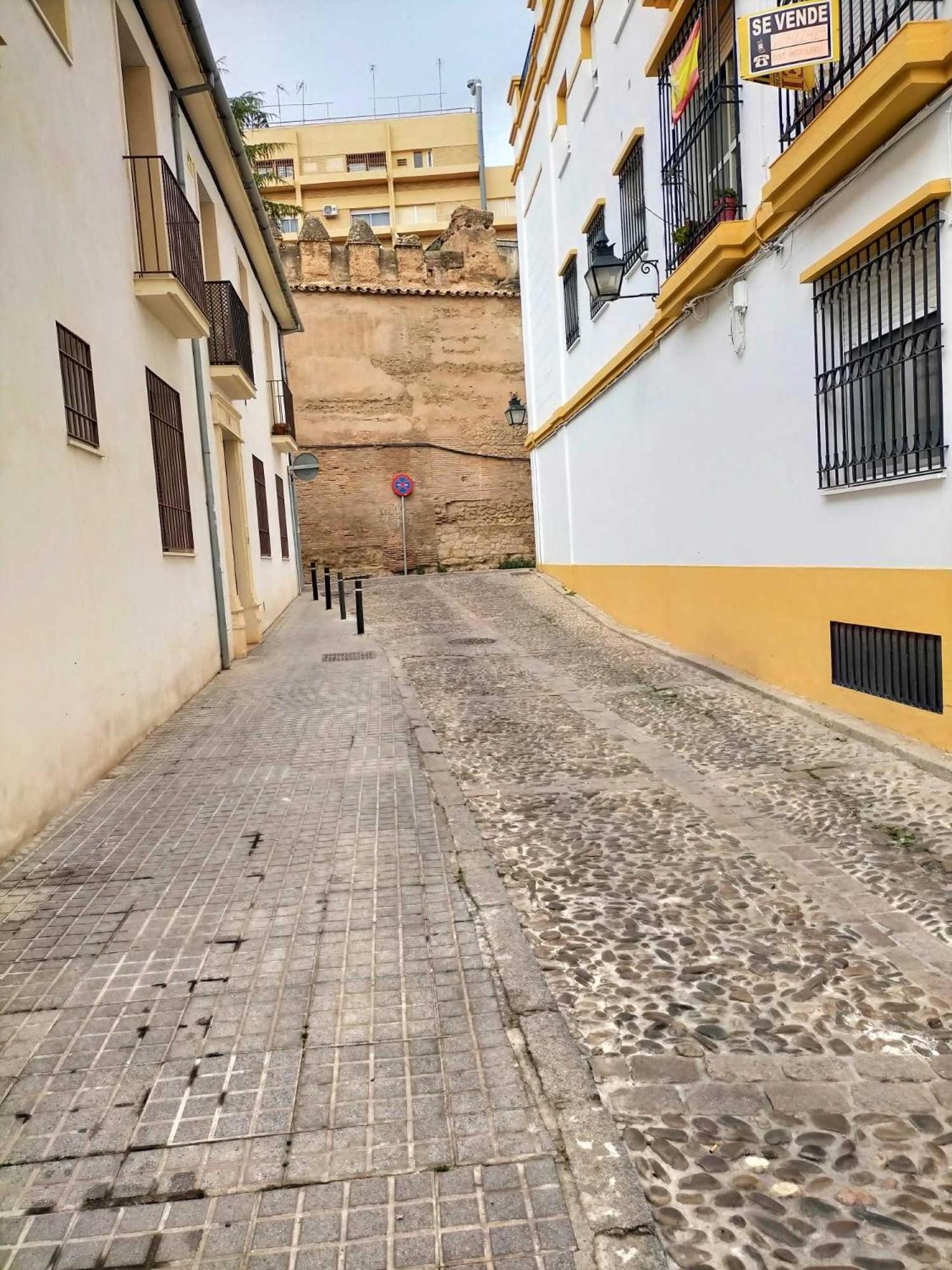 Nieves Viejas Los Patios コルドバ エクステリア 写真