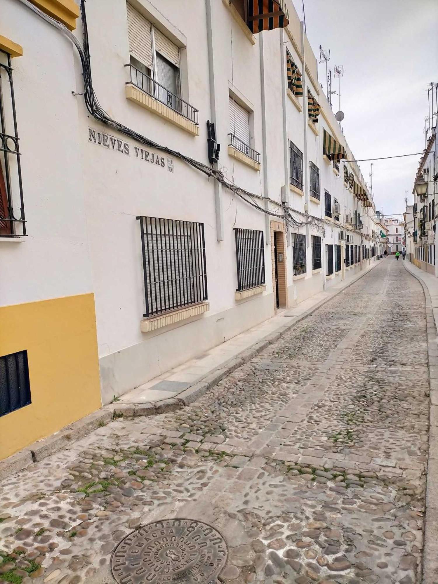 Nieves Viejas Los Patios コルドバ エクステリア 写真